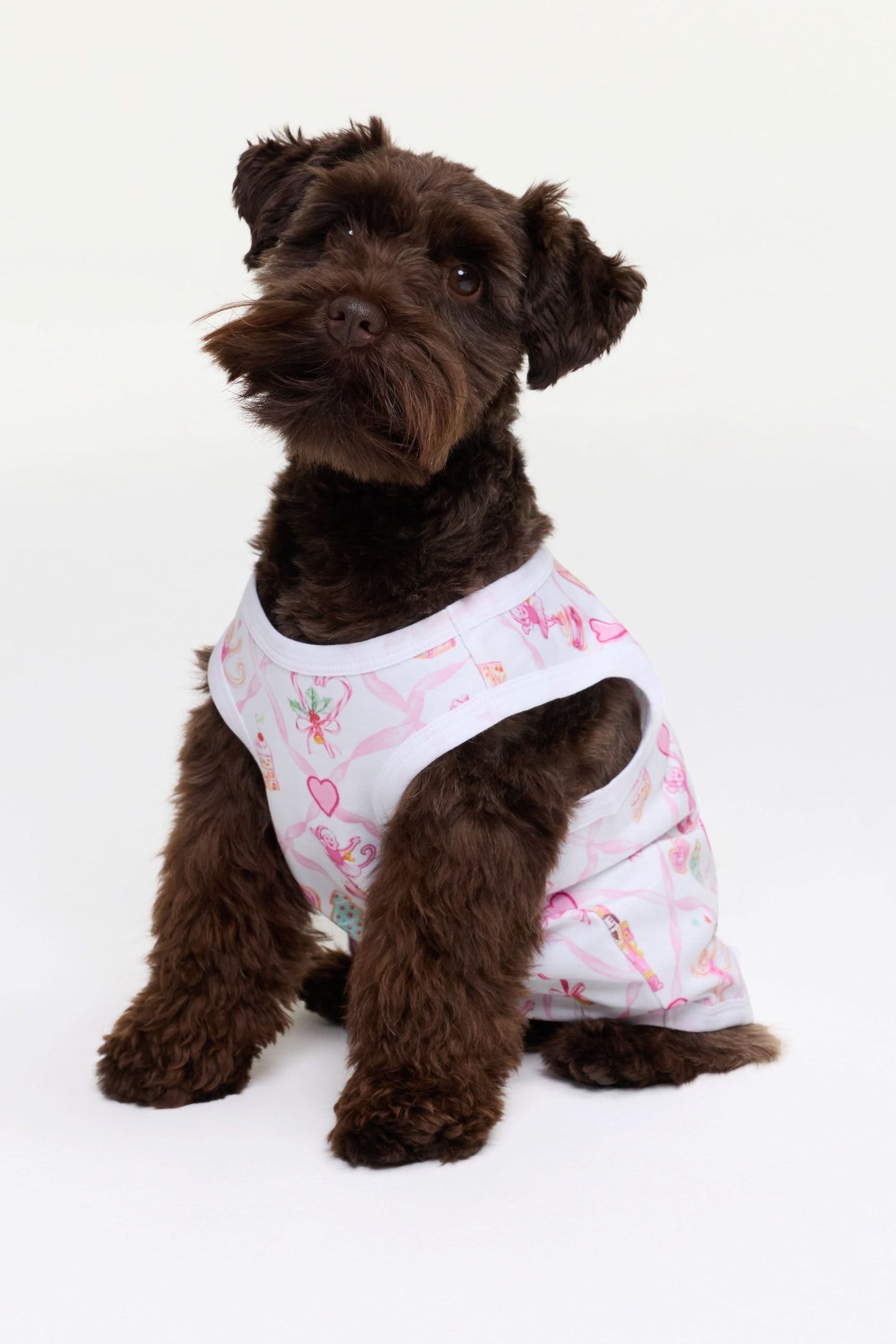 A small, fluffy black dog wears Roller Rabbit Sugarplum Lattice Dog Pajamas with pink and colorful patterns while sitting on a white background and looking slightly to the side.