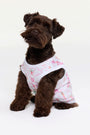 A small, fluffy black dog wears Roller Rabbit Sugarplum Lattice Dog Pajamas with pink and colorful patterns while sitting on a white background and looking slightly to the side.