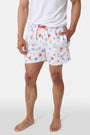 A person stands barefoot, one hand in a pocket, wearing a white T-shirt and Roller Rabbit Men's Catch of the Day Swim Trunk with colorful beach-themed prints, an elastic waistband, and a classic fit.