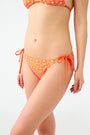 Monkey Serena Bikini Bottom